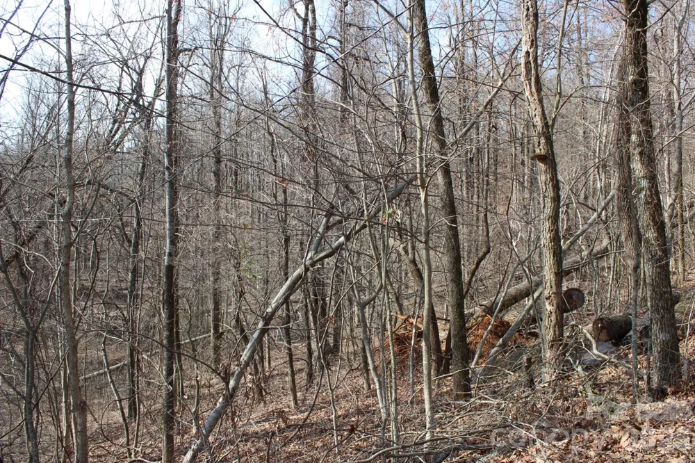 Lot 20 Sunset Ridge Drive #20 Columbus, NC 28722
