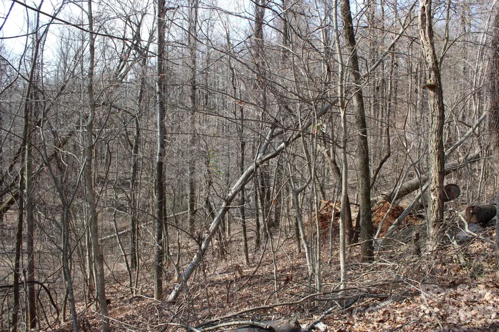 Lot 20 Sunset Ridge Drive #20 Columbus, NC 28722