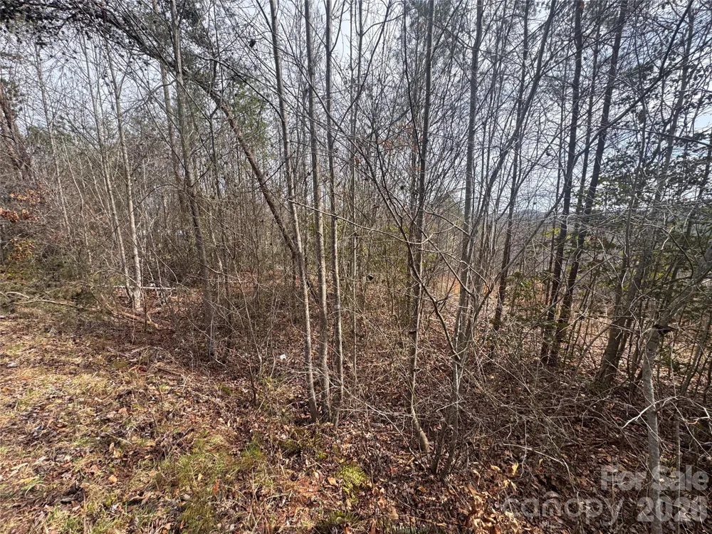 00 Billings Hill Church Road #56 Traphill, NC 28685