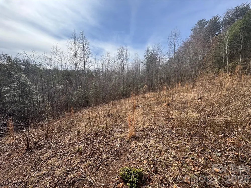 00 Billings Hill Church Road #56 Traphill, NC 28685