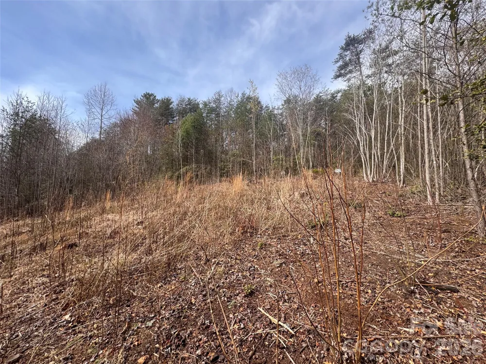 00 Billings Hill Church Road #56 Traphill, NC 28685