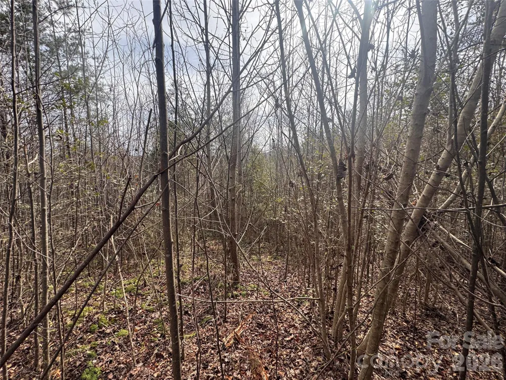 00 Billings Hill Church Road #56 Traphill, NC 28685
