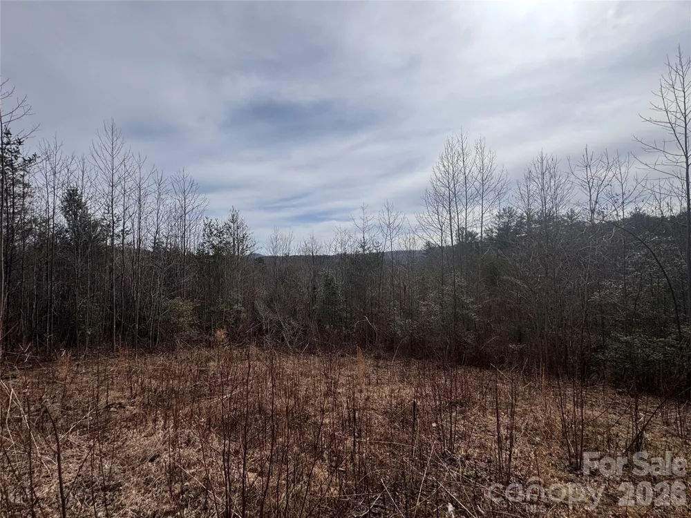 00 Billings Hill Church Road #56 Traphill, NC 28685