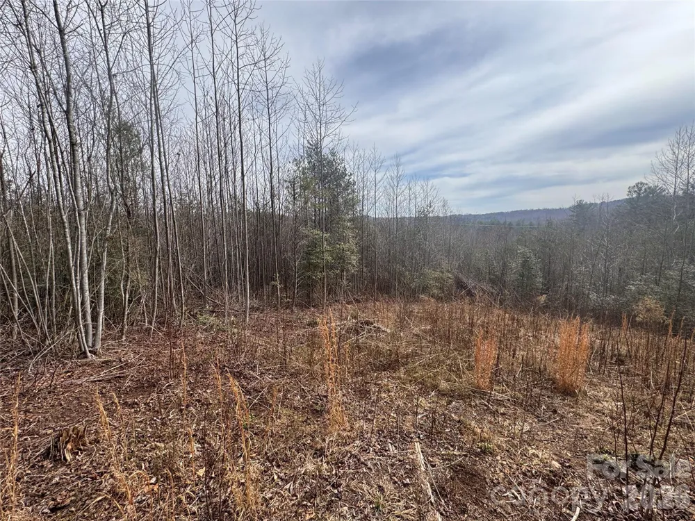 00 Billings Hill Church Road #56 Traphill, NC 28685