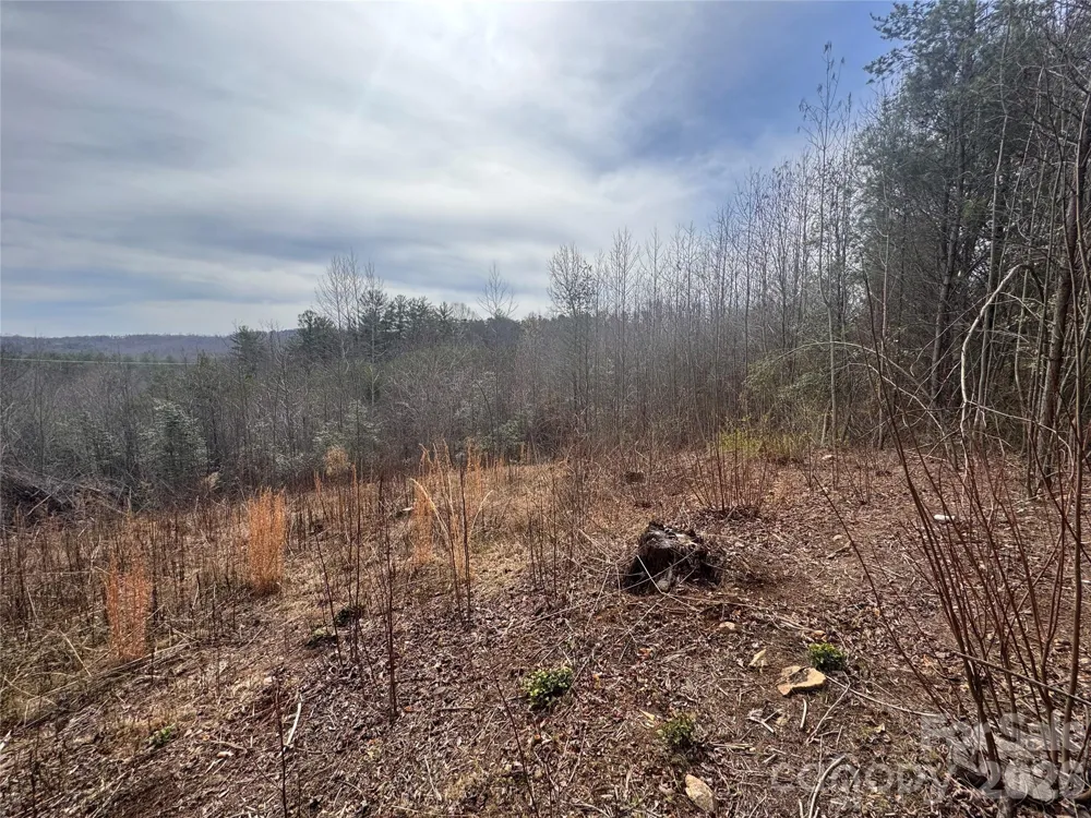 00 Billings Hill Church Road #56 Traphill, NC 28685