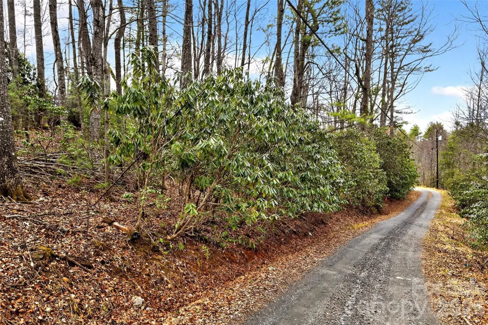 TBD Red Bird Road Spruce Pine, NC 28777