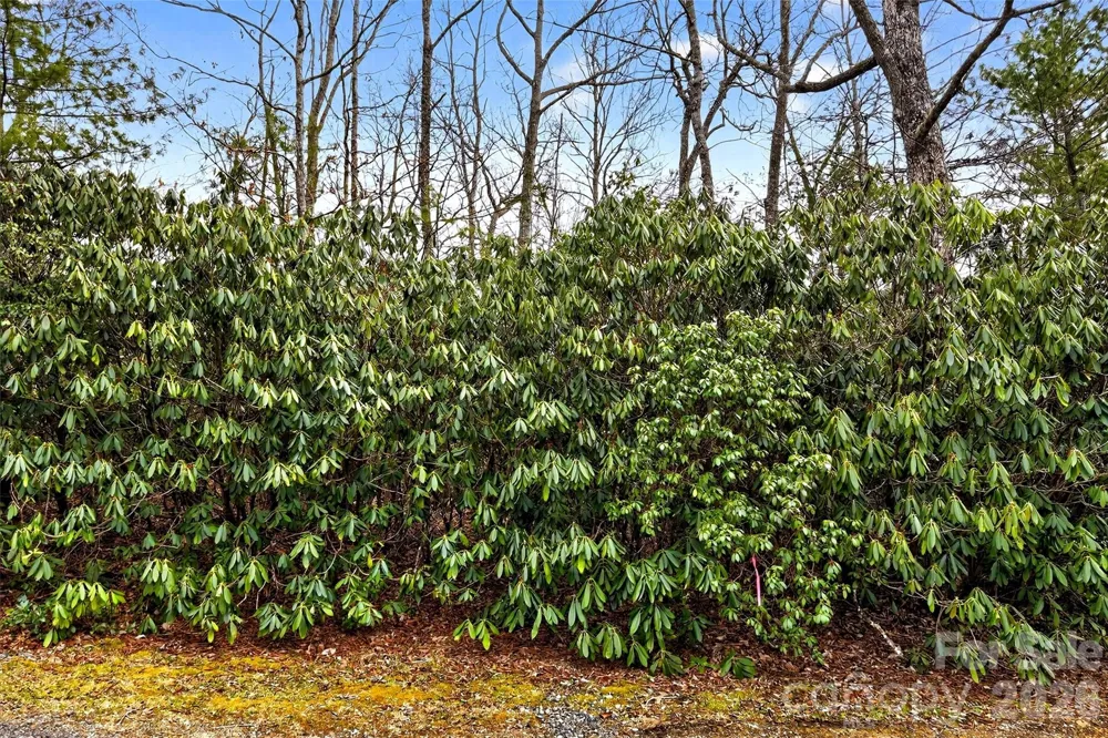 TBD Red Bird Road Spruce Pine, NC 28777