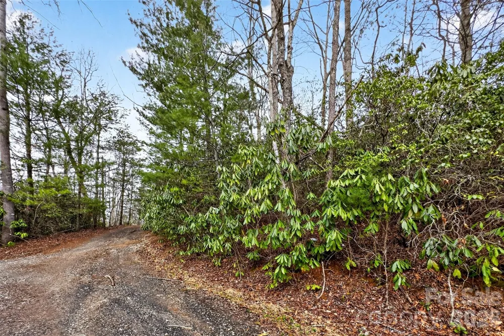 TBD Red Bird Road Spruce Pine, NC 28777