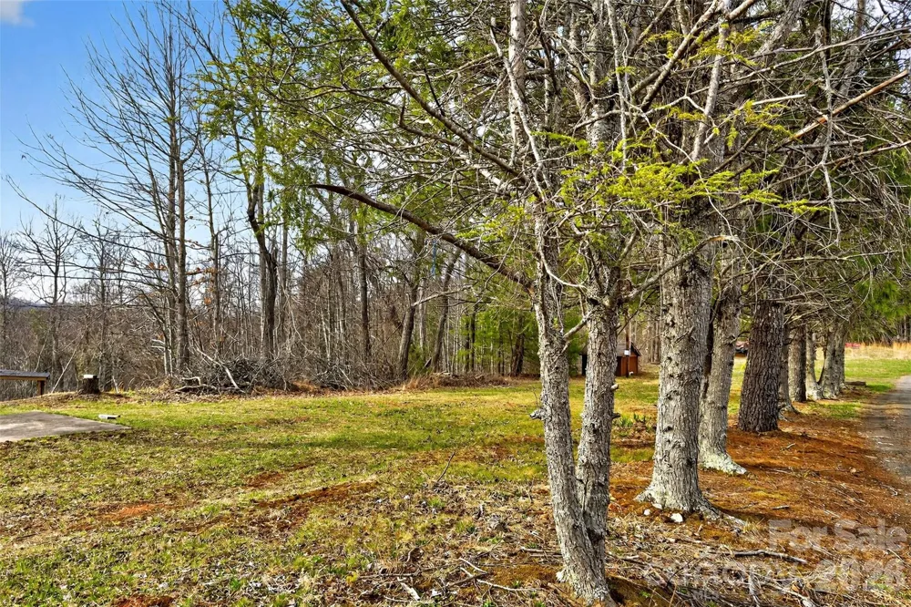 TBD Red Bird Road Spruce Pine, NC 28777