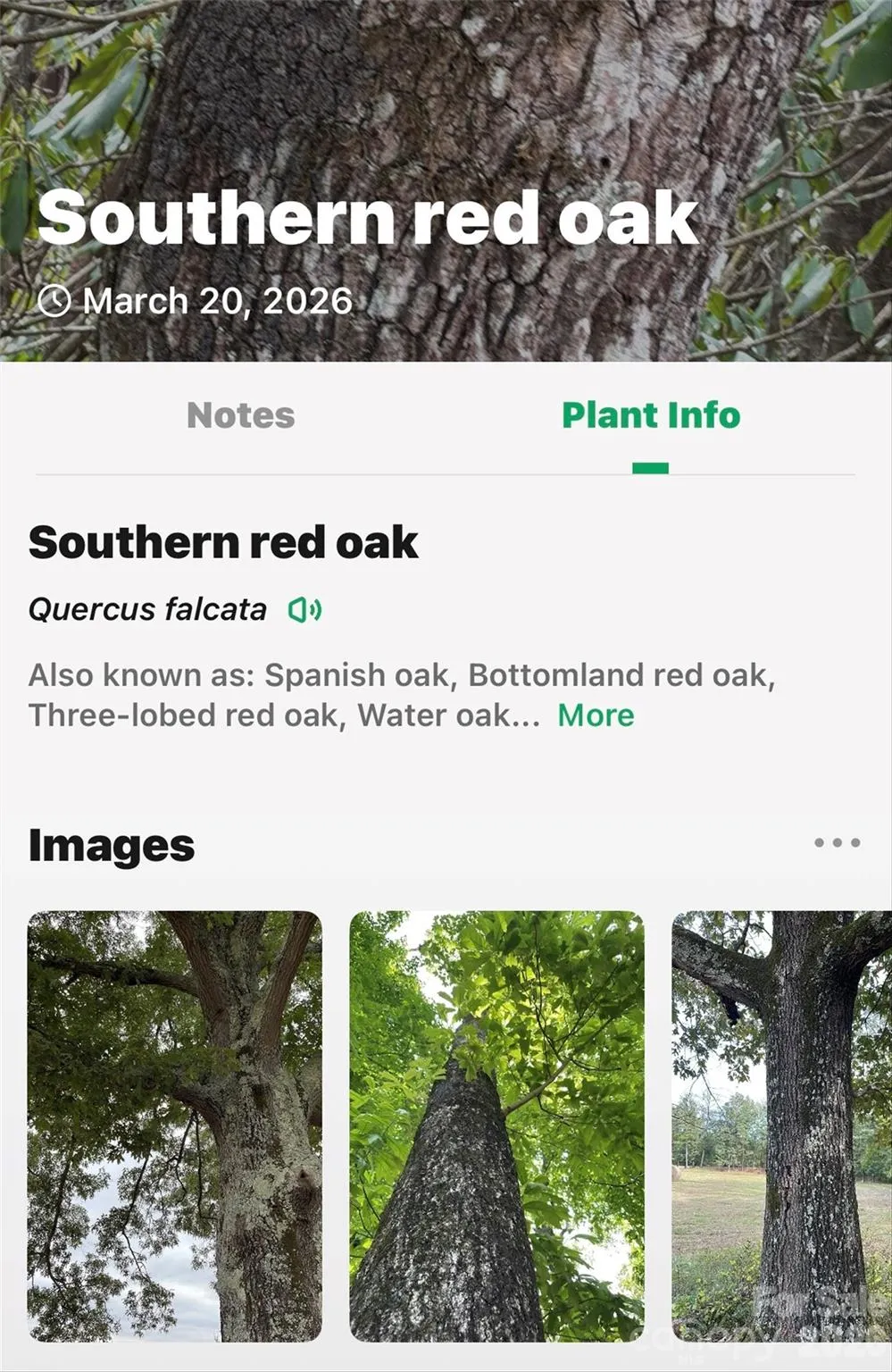 TBD Red Bird Road Spruce Pine, NC 28777