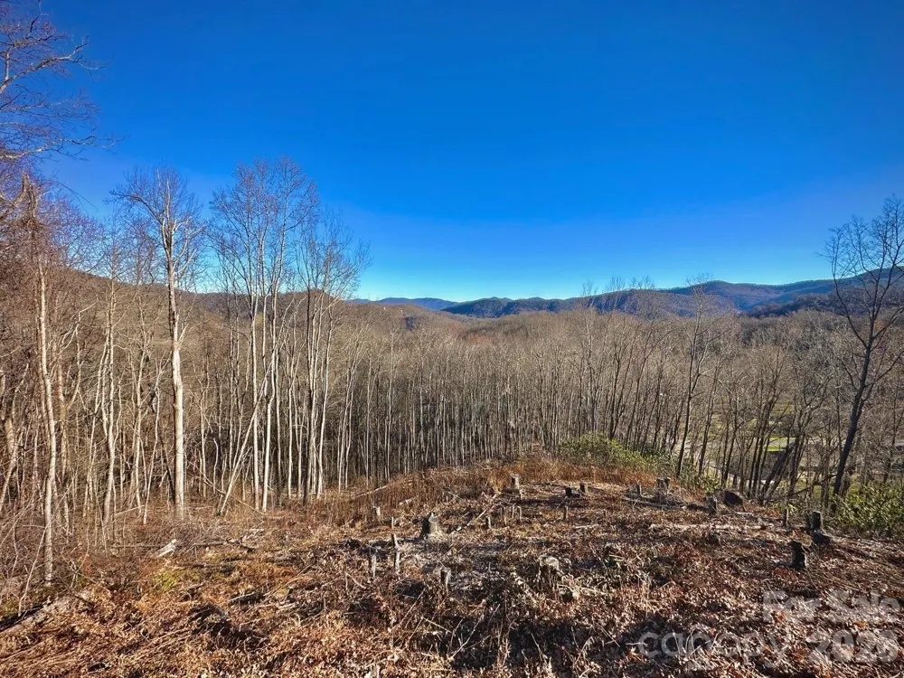 3 Mountain Watch Drive Waynesville, NC 28785