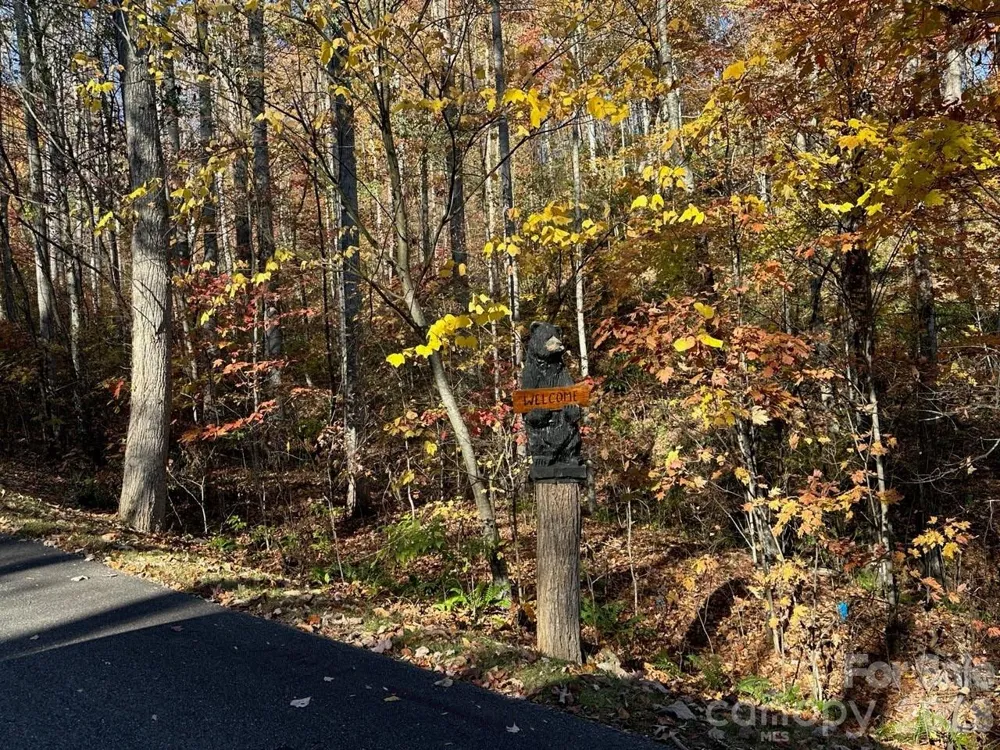 3 Mountain Watch Drive Waynesville, NC 28785