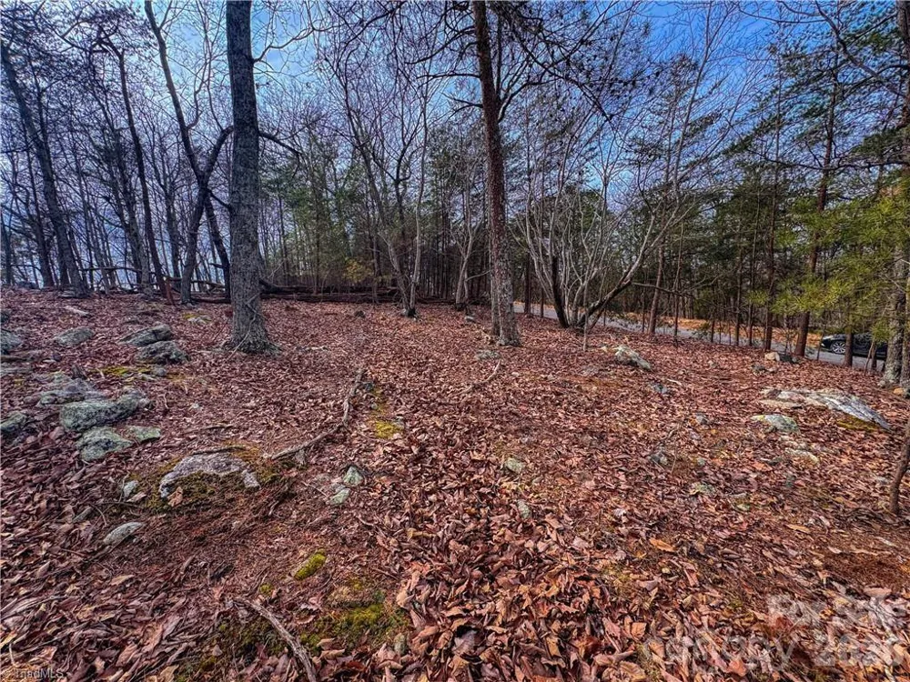 1026 Sierra Trace Road Denton, NC 27239