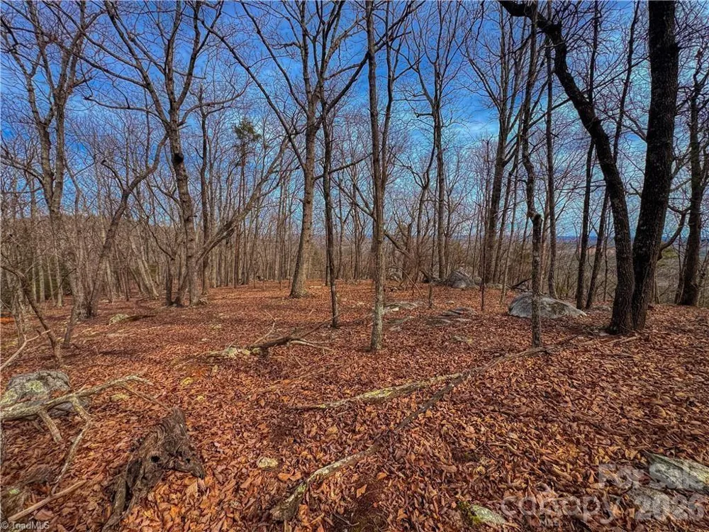 1026 Sierra Trace Road Denton, NC 27239