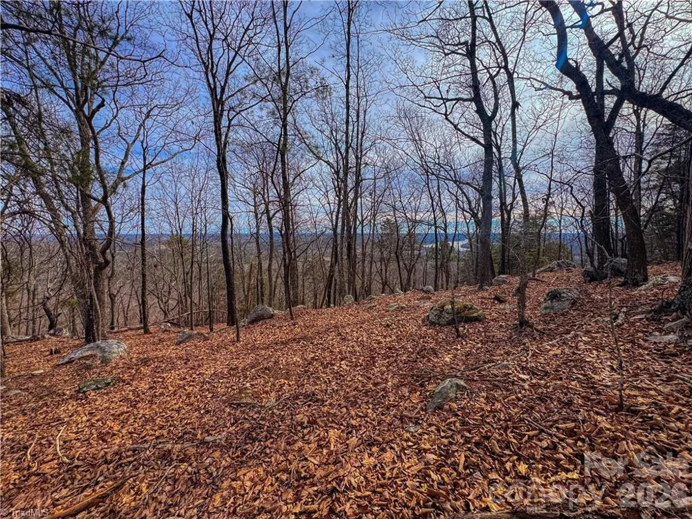 1026 Sierra Trace Road Denton, NC 27239