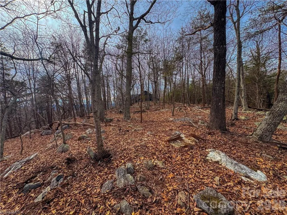 1026 Sierra Trace Road Denton, NC 27239