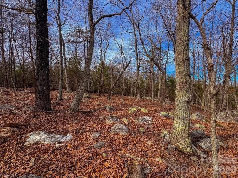 1026 Sierra Trace Road Denton, NC 27239