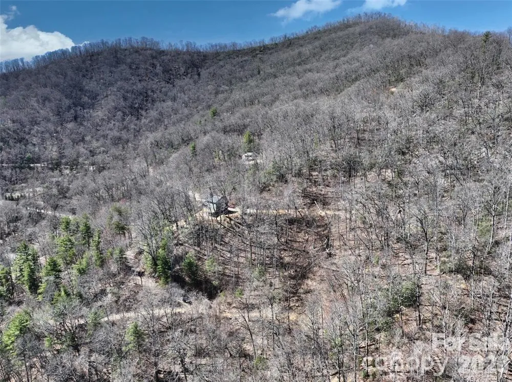 11 Taryn Trace #16 Barnardsville, NC 28709