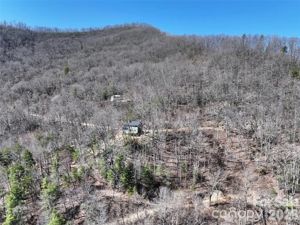 11 Taryn Trace #16 Barnardsville, NC 28709