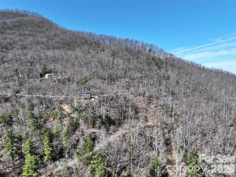11 Taryn Trace #16 Barnardsville, NC 28709