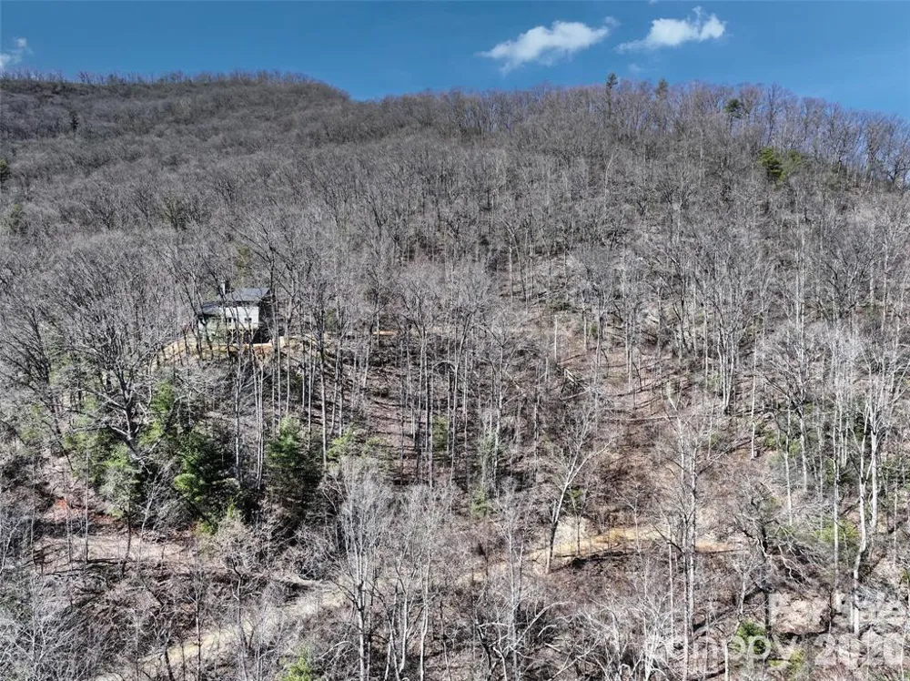 11 Taryn Trace #16 Barnardsville, NC 28709