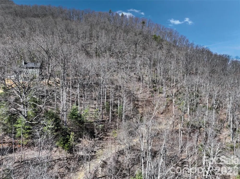 11 Taryn Trace #16 Barnardsville, NC 28709