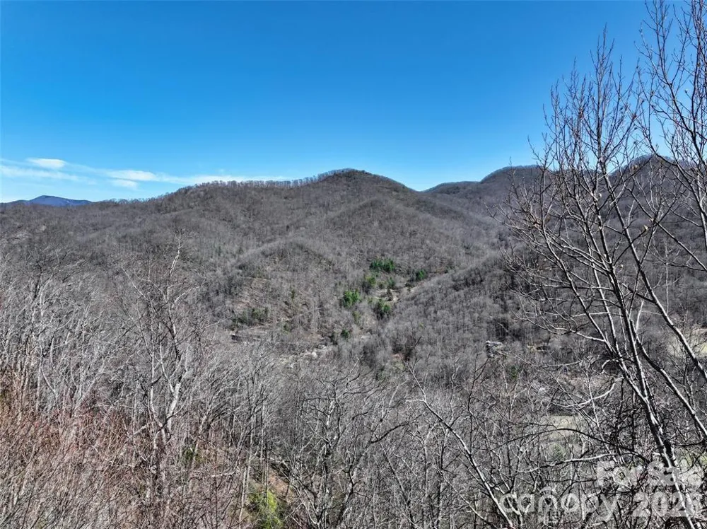 11 Taryn Trace #16 Barnardsville, NC 28709