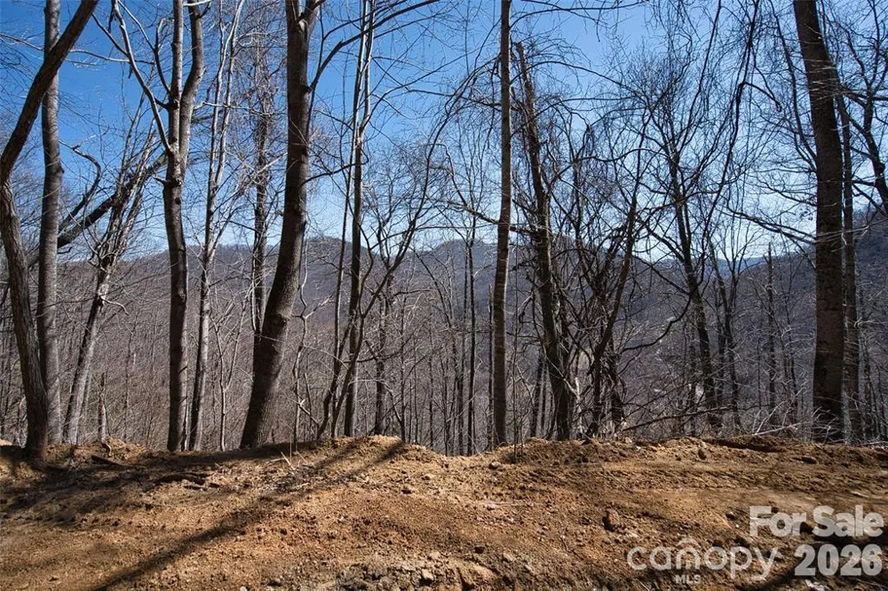 11 Taryn Trace #16 Barnardsville, NC 28709