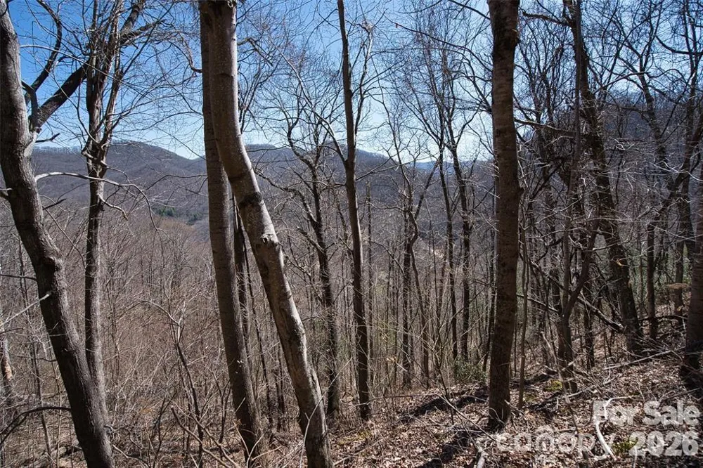11 Taryn Trace #16 Barnardsville, NC 28709