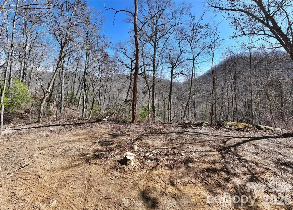 99999 Green Ridge Falls Road #17 Barnardsville, NC 28709