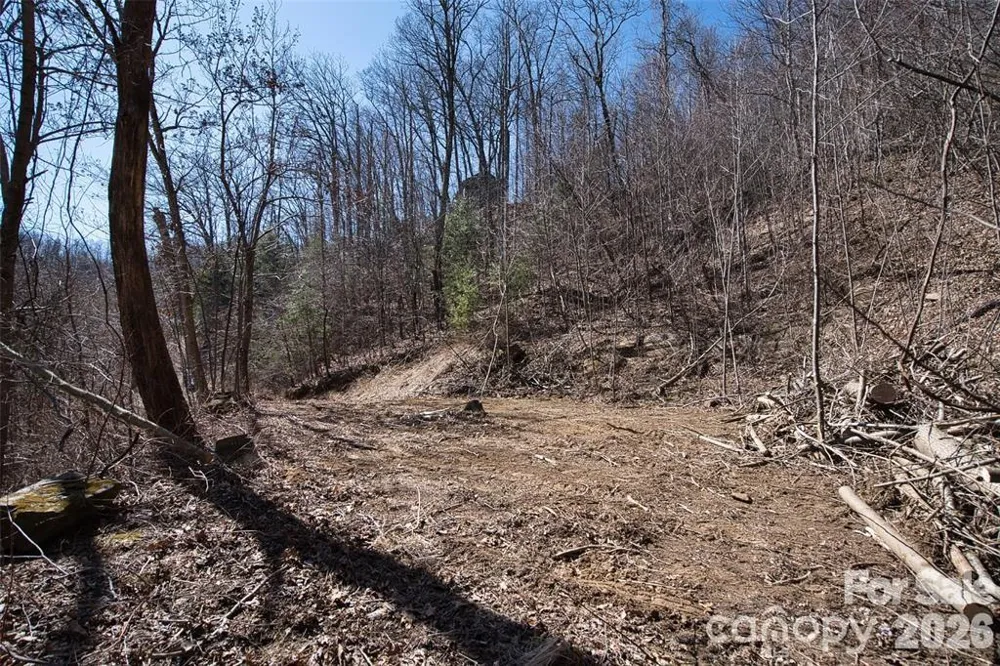 99999 Green Ridge Falls Road #17 Barnardsville, NC 28709