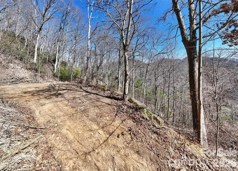 99999 Green Ridge Falls Road #17 Barnardsville, NC 28709