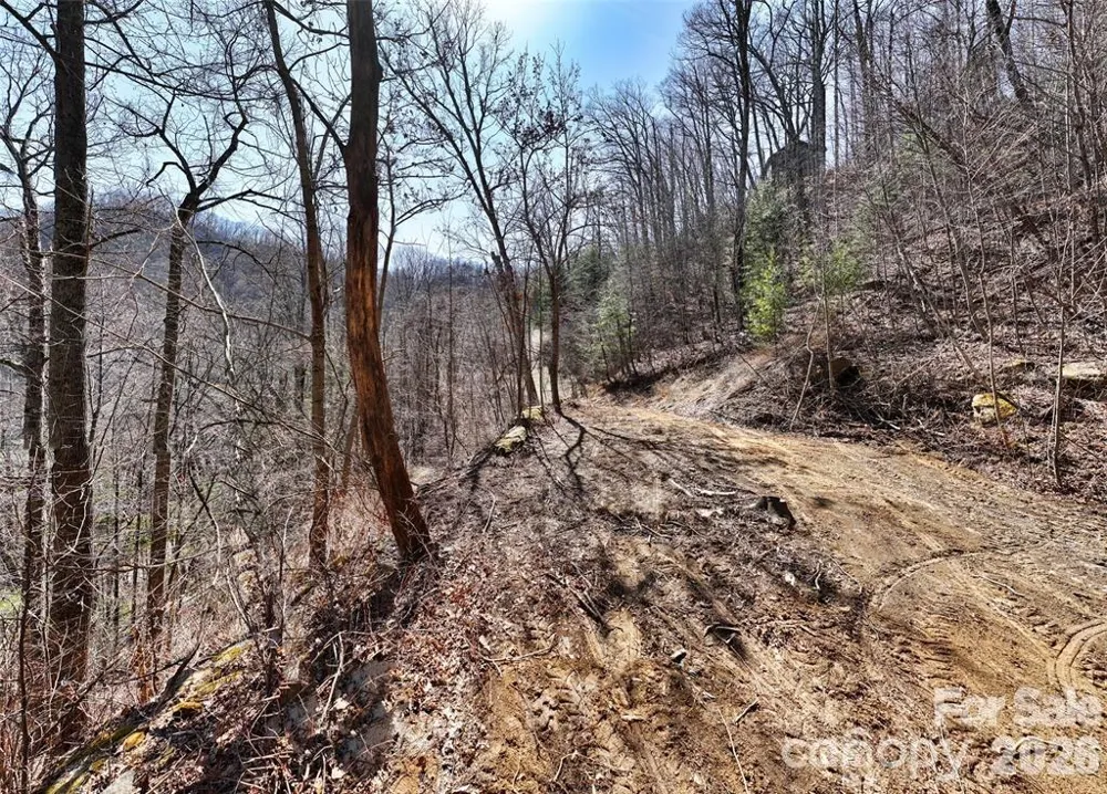 99999 Green Ridge Falls Road #17 Barnardsville, NC 28709