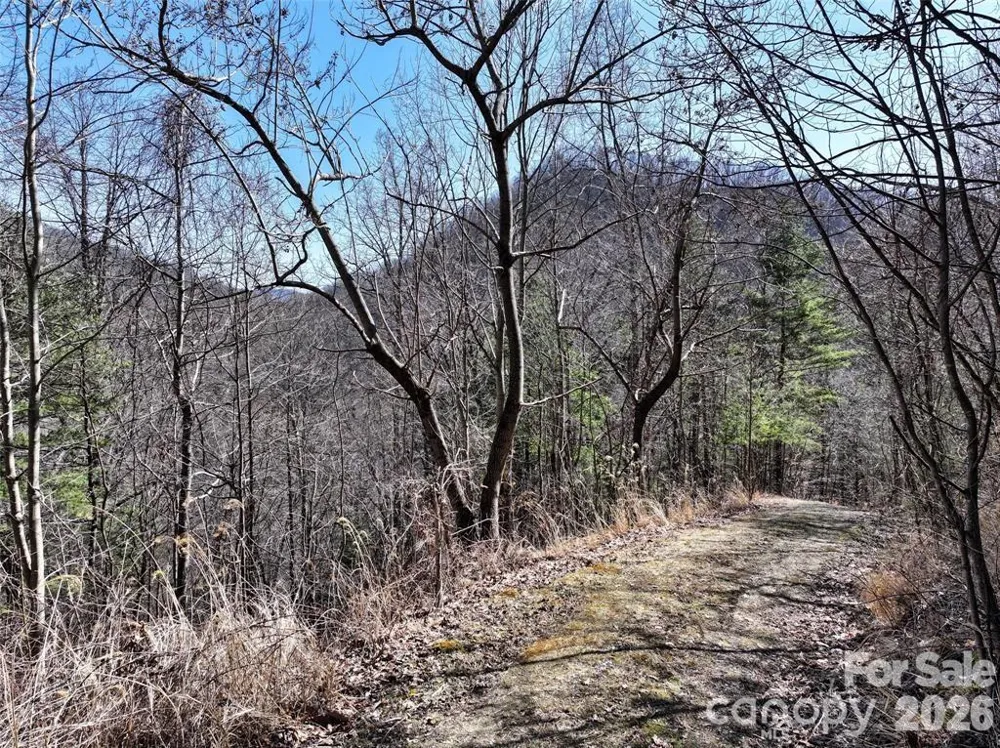 99999 Green Ridge Falls Road #17 Barnardsville, NC 28709