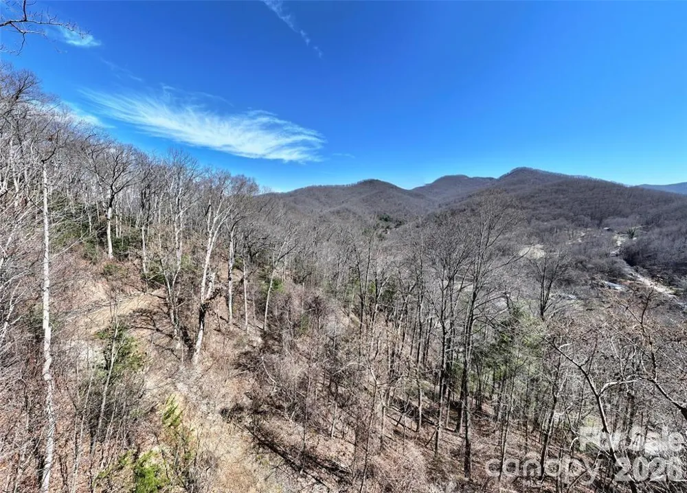 99999 Green Ridge Falls Road #17 Barnardsville, NC 28709
