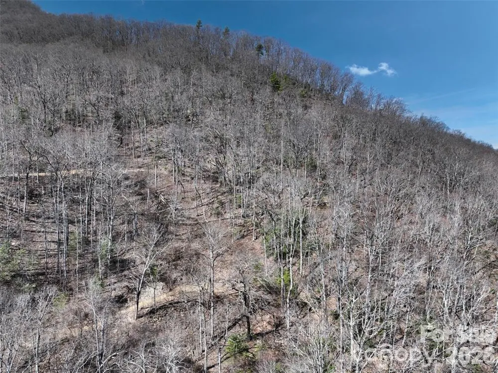 99999 Green Ridge Falls Road #17 Barnardsville, NC 28709