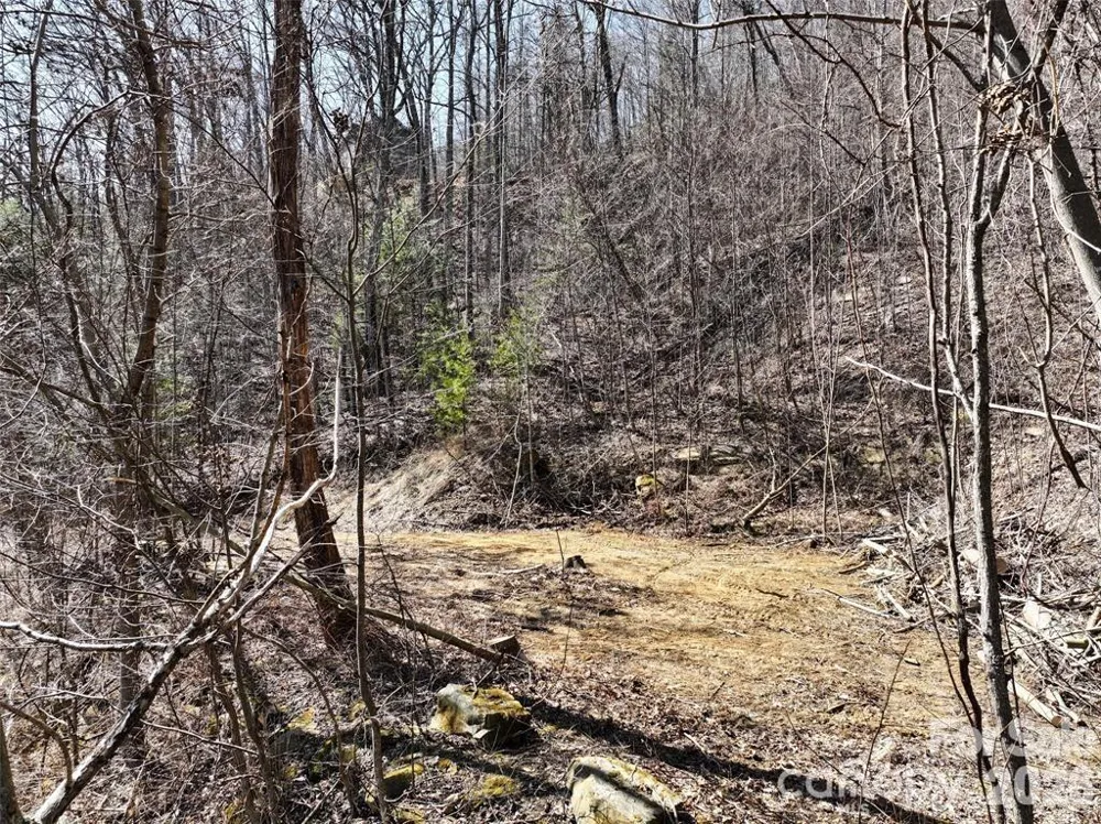 99999 Green Ridge Falls Road #17 Barnardsville, NC 28709