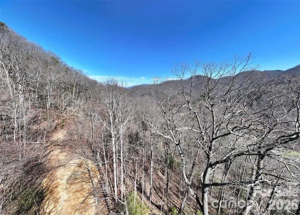 99999 Green Ridge Falls Road #17 Barnardsville, NC 28709