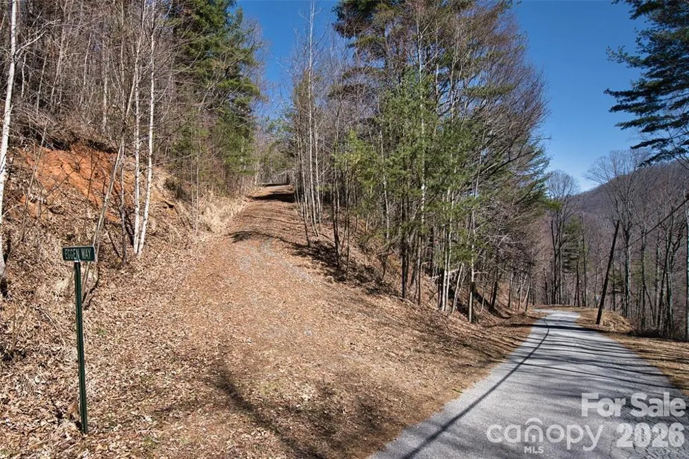 99999 Green Ridge Falls Road #17 Barnardsville, NC 28709