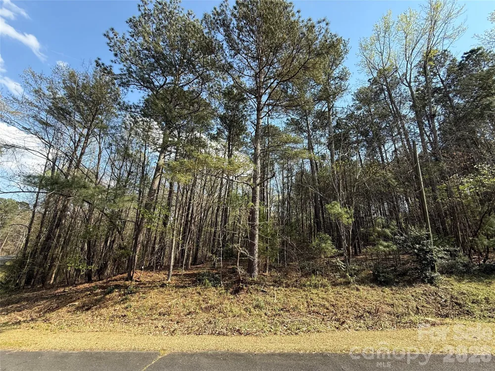 TBD E Goldmine Road Wadesboro, NC 28170