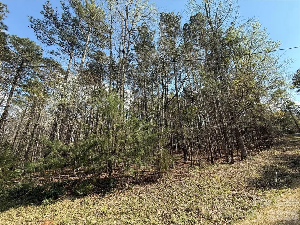 TBD E Goldmine Road Wadesboro, NC 28170