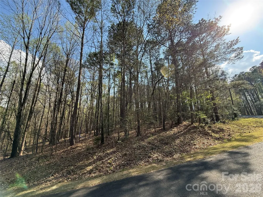 TBD E Goldmine Road Wadesboro, NC 28170