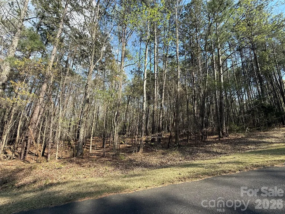 TBD E Goldmine Road Wadesboro, NC 28170