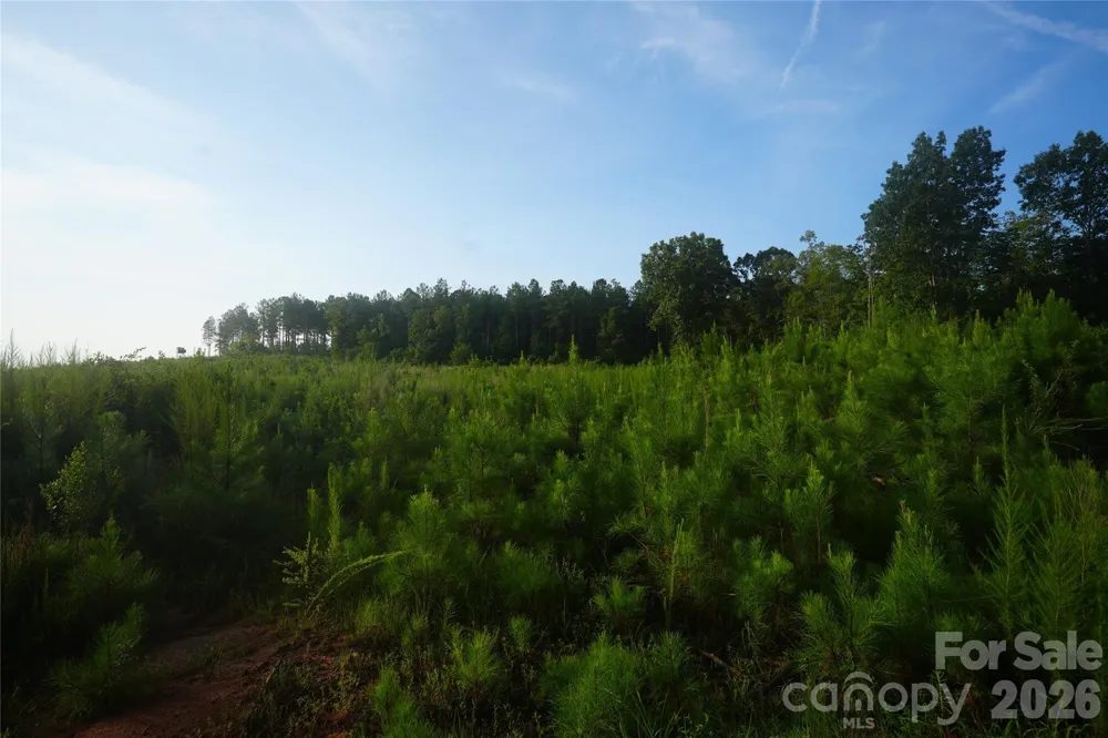 00 Bobby Faucette Road #4 Jonesville, SC 29353