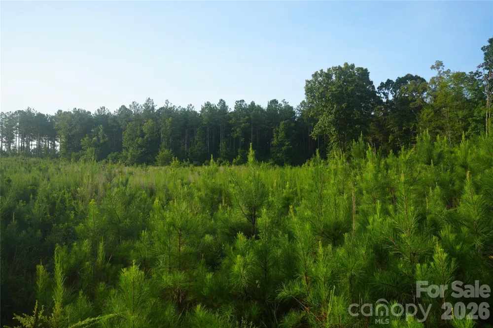 00 Bobby Faucette Road #4 Jonesville, SC 29353
