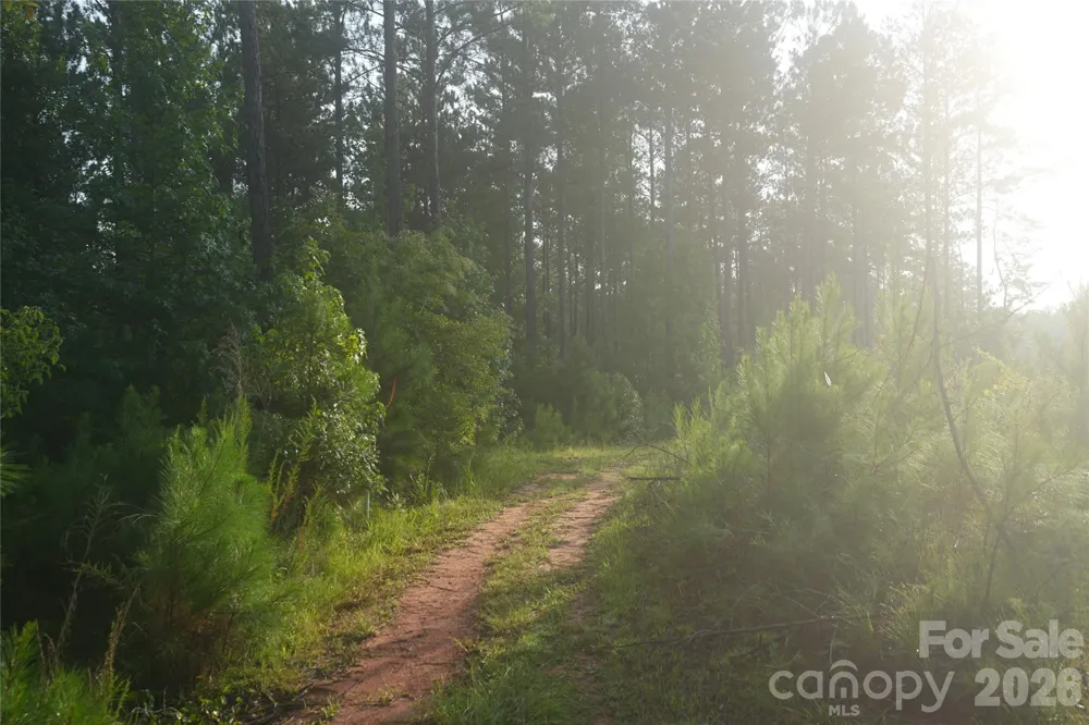00 Bobby Faucette Road #4 Jonesville, SC 29353