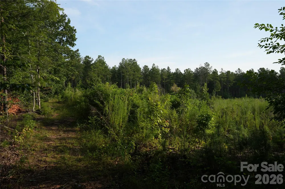 00 Bobby Faucette Road #4 Jonesville, SC 29353