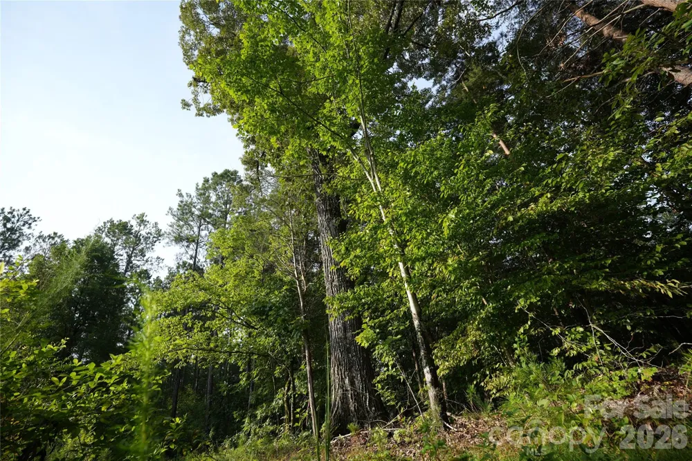 00 Bobby Faucette Road #4 Jonesville, SC 29353