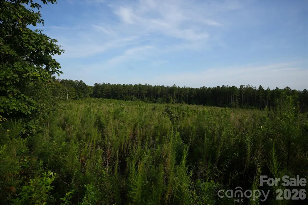 00 Bobby Faucette Road #4 Jonesville, SC 29353