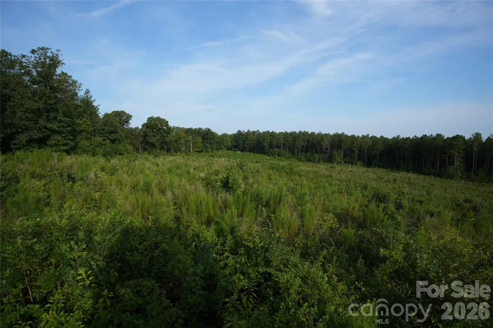 00 Bobby Faucette Road #4 Jonesville, SC 29353